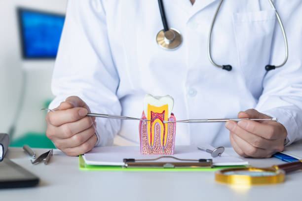 Best Emergency Treatment for Toothache in Napili Honokowai, HI